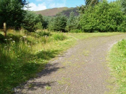 Image on trail